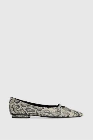 Boucle Plate